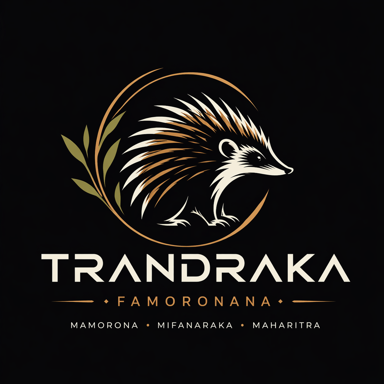 Logo Trandraka Studio